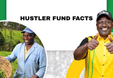 HOW TO APPLY FOR HUSTLER FUND.