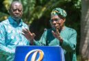 Why Nigerian President Endorsed Raila for AU Job